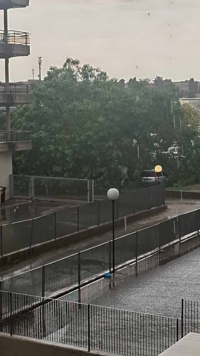 Maltempo_Albero caduto Via Aldo moro Aprilia