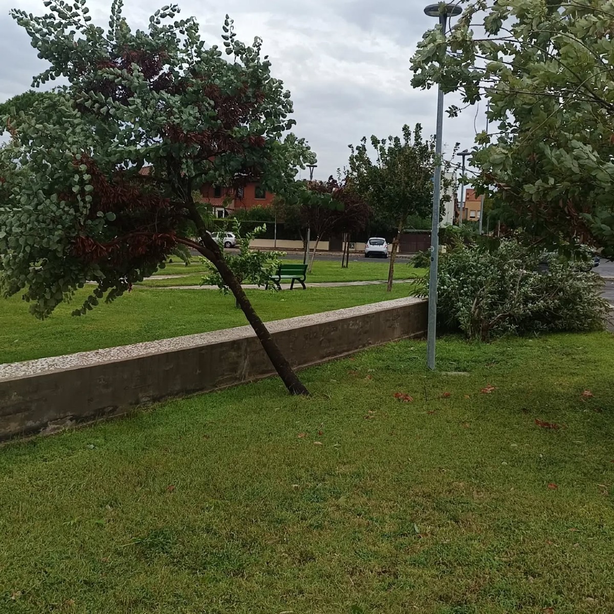 Danni al parco Fiorentini 