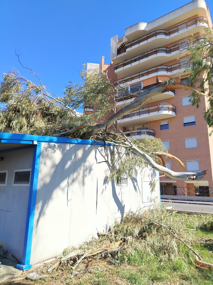 via Carroceto - Messa in sicurezza casa associazioni _Alfa Aprilia