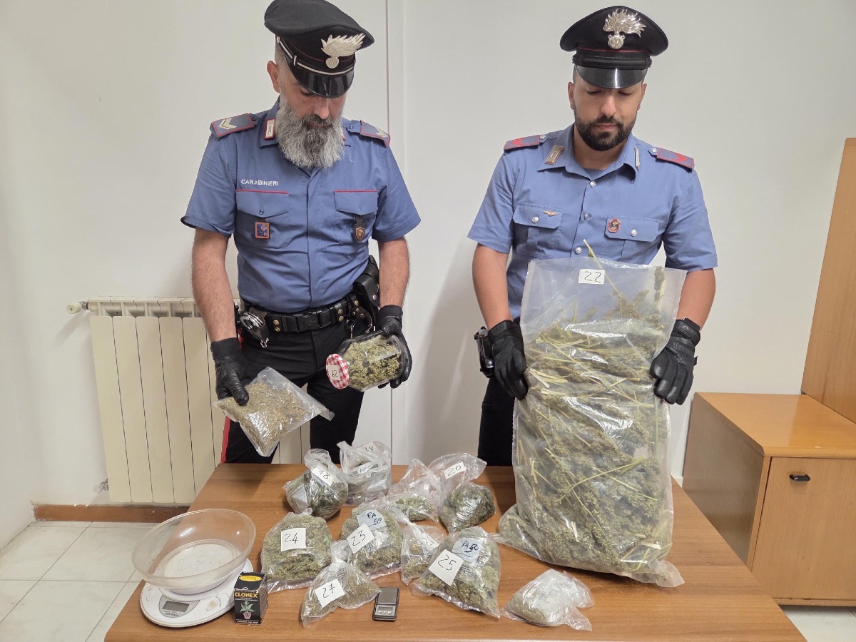 Nettuno - serra marijuana - Carabinieri 