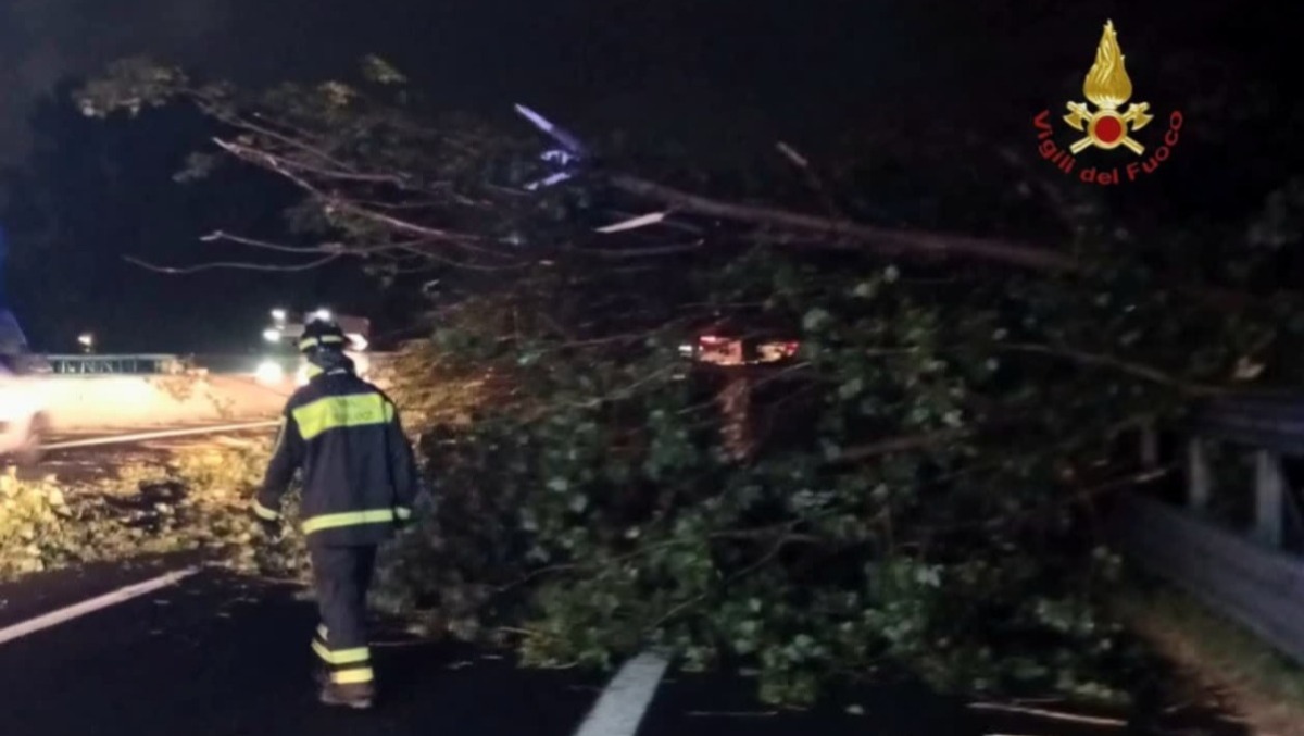 Alberi sradicati e allagamenti: 120 interventi dei Vigili del Fuoco nella notte in provincia di Roma. - 