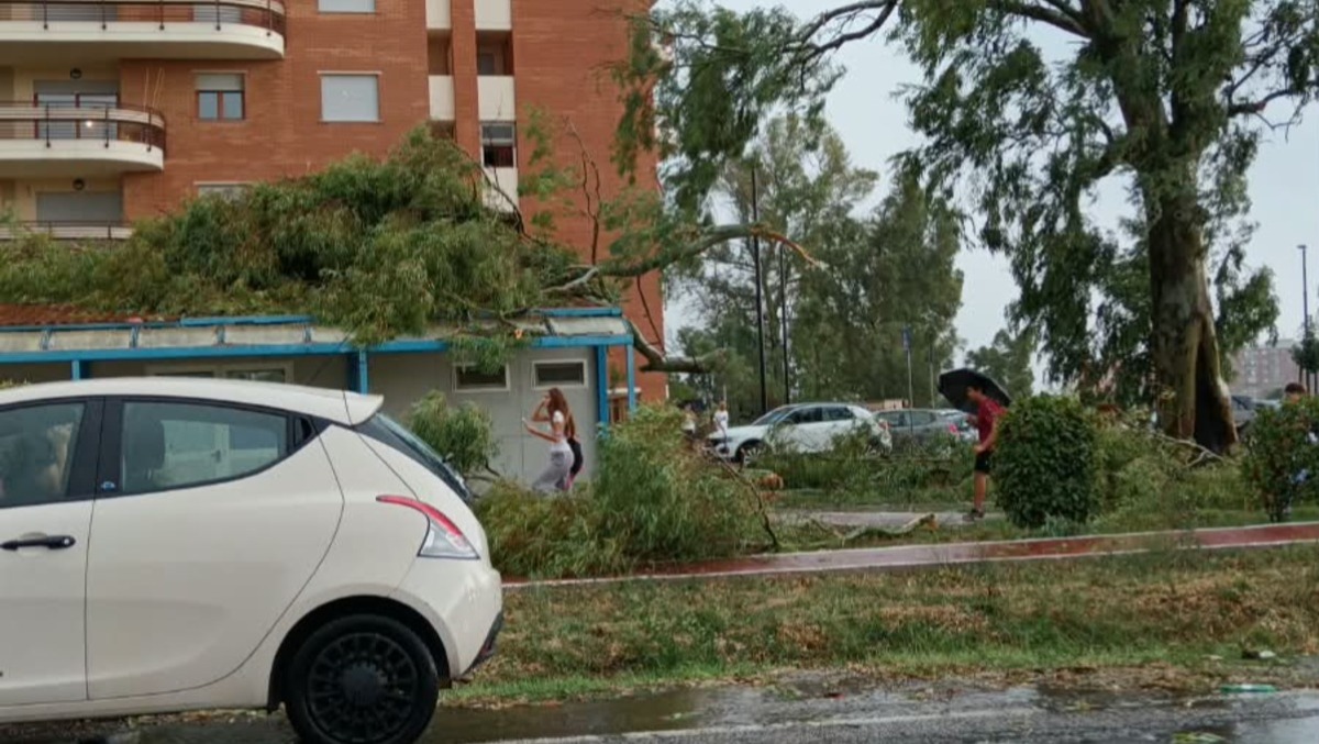 Scuole allagate a Latina e Aprilia. L'allarme dei GEV: "La sicurezza non può dipendere dal meteo" - 
