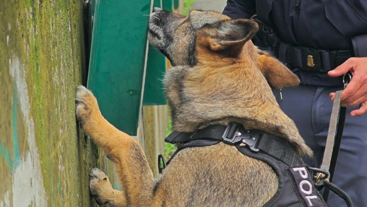 La Polizia di Stato smantella una rete di spaccio alla periferia della Capitale. - 