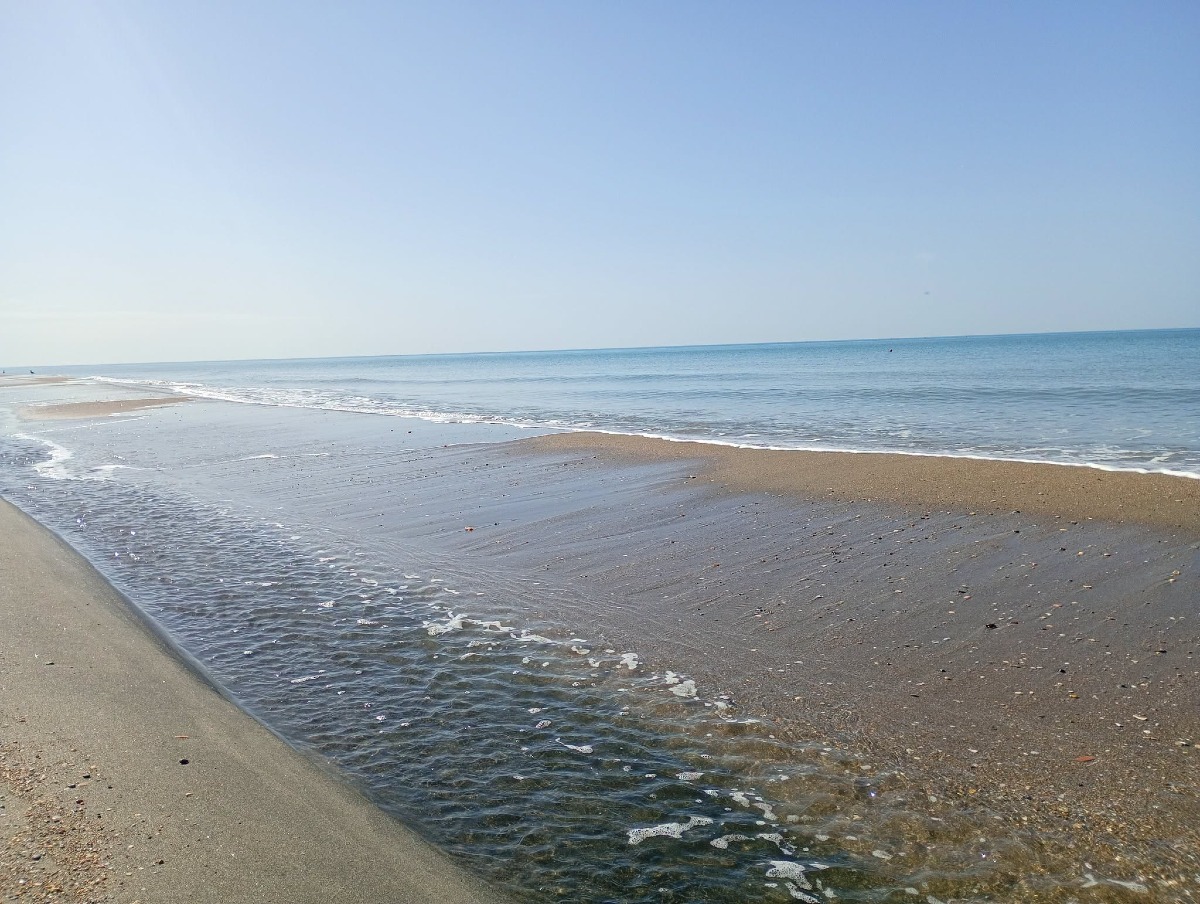 Mare giallo, Arpa Lazio: "Alghe, registrata fase di allerta a Sperlonga e una di emergenza a Formia" - 