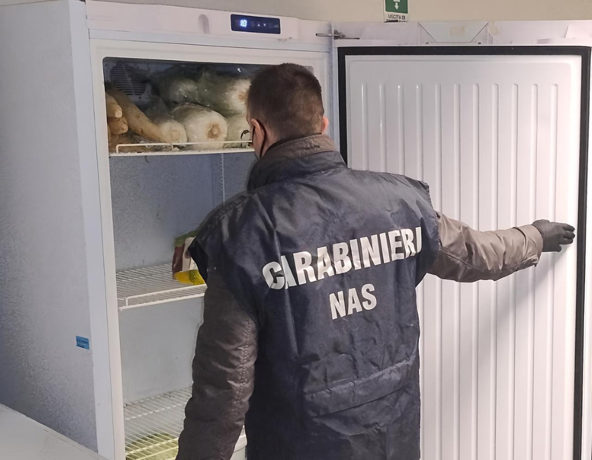Latina e provincia, alimenti a rischio botulino: scatta il sequestro. Due attività sospese - 