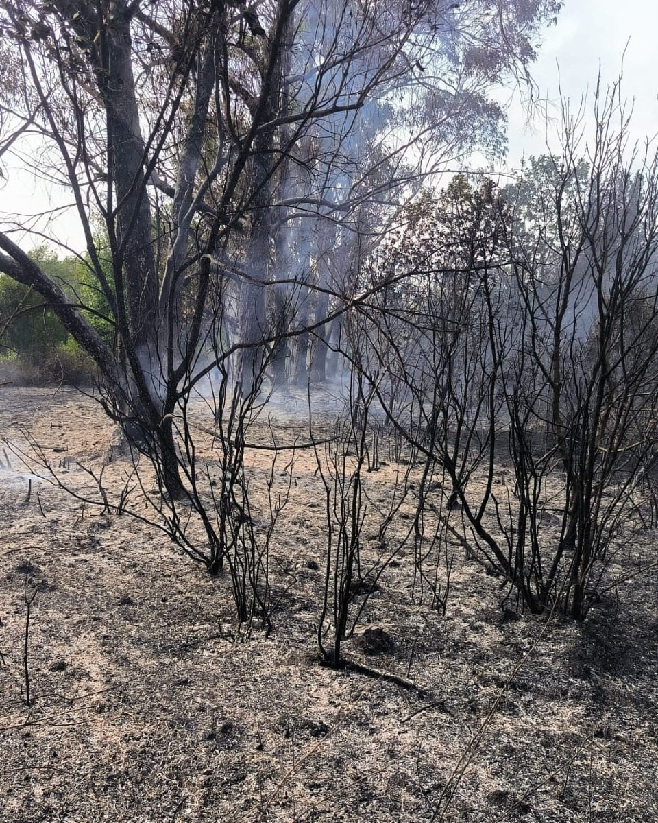 Incendio via la Vite 