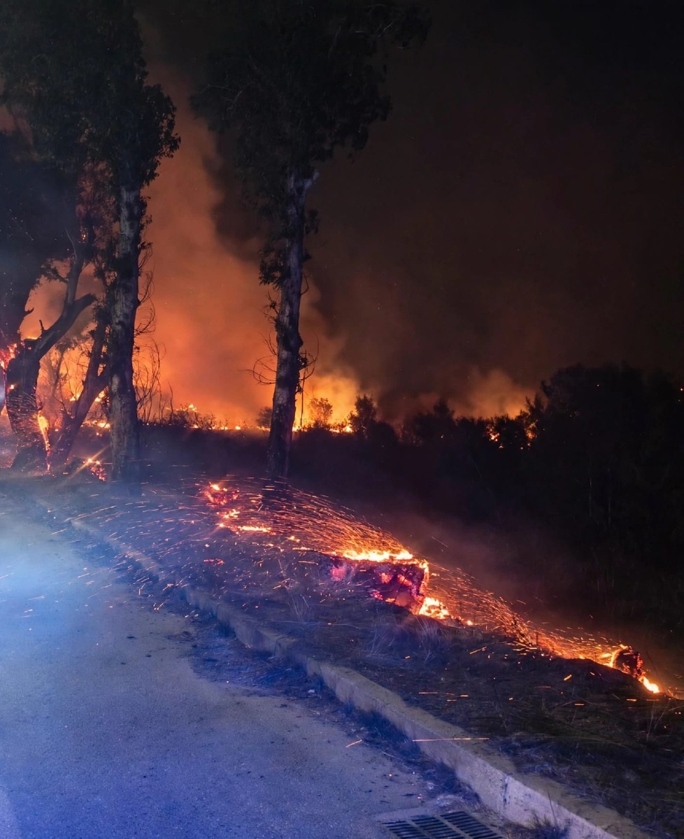 AlfA Aprilia_Bilancio incendi