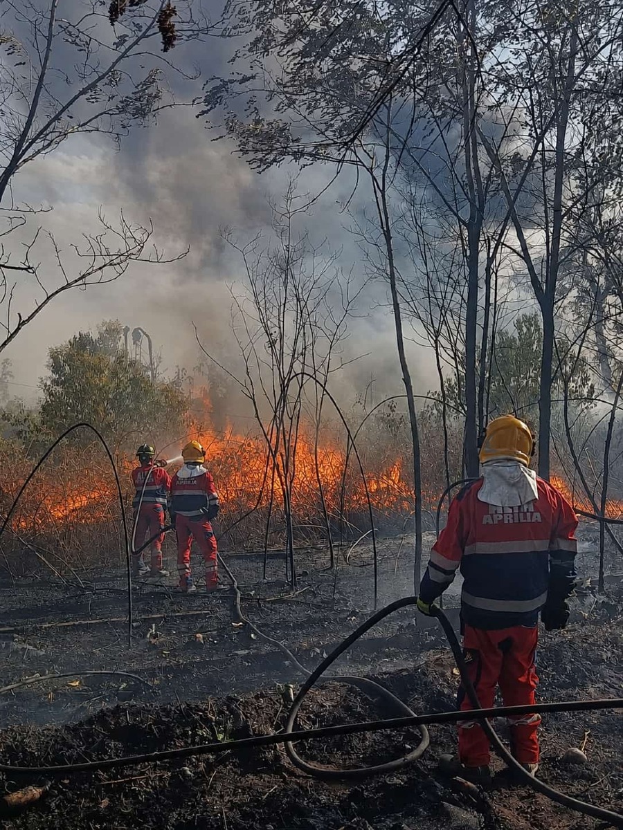 AlfA Aprilia_Bilancio incendi