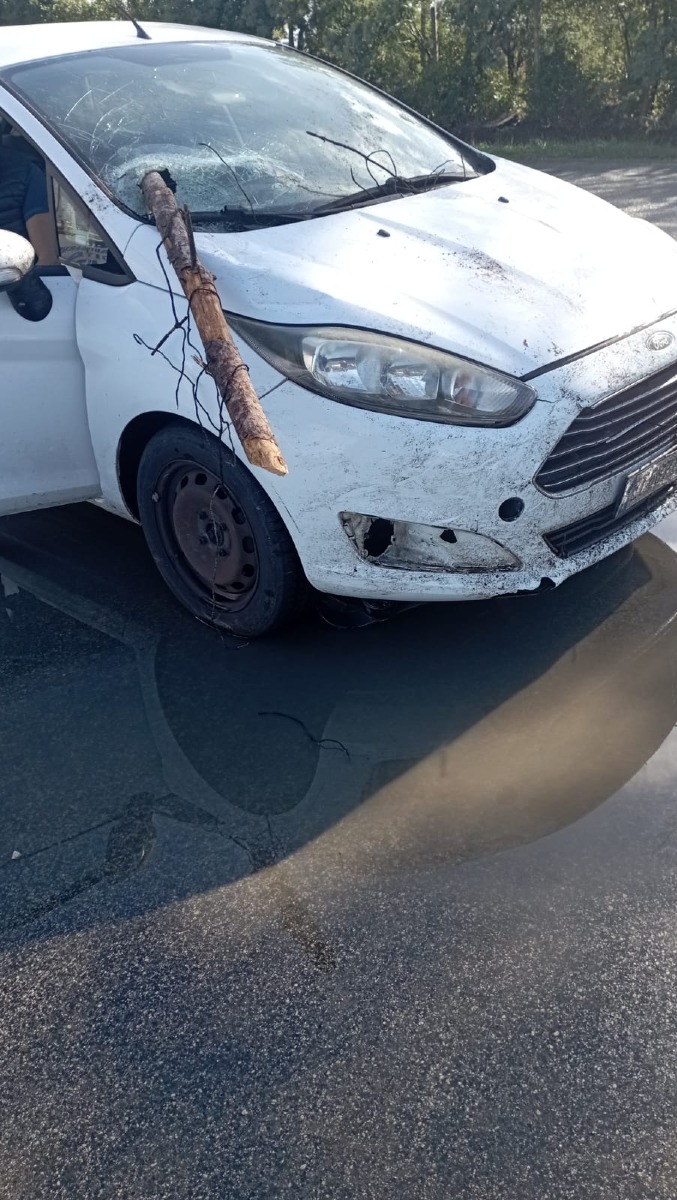 CdQ_Selciatella-Via5archi-auto-parabrezza-perforato